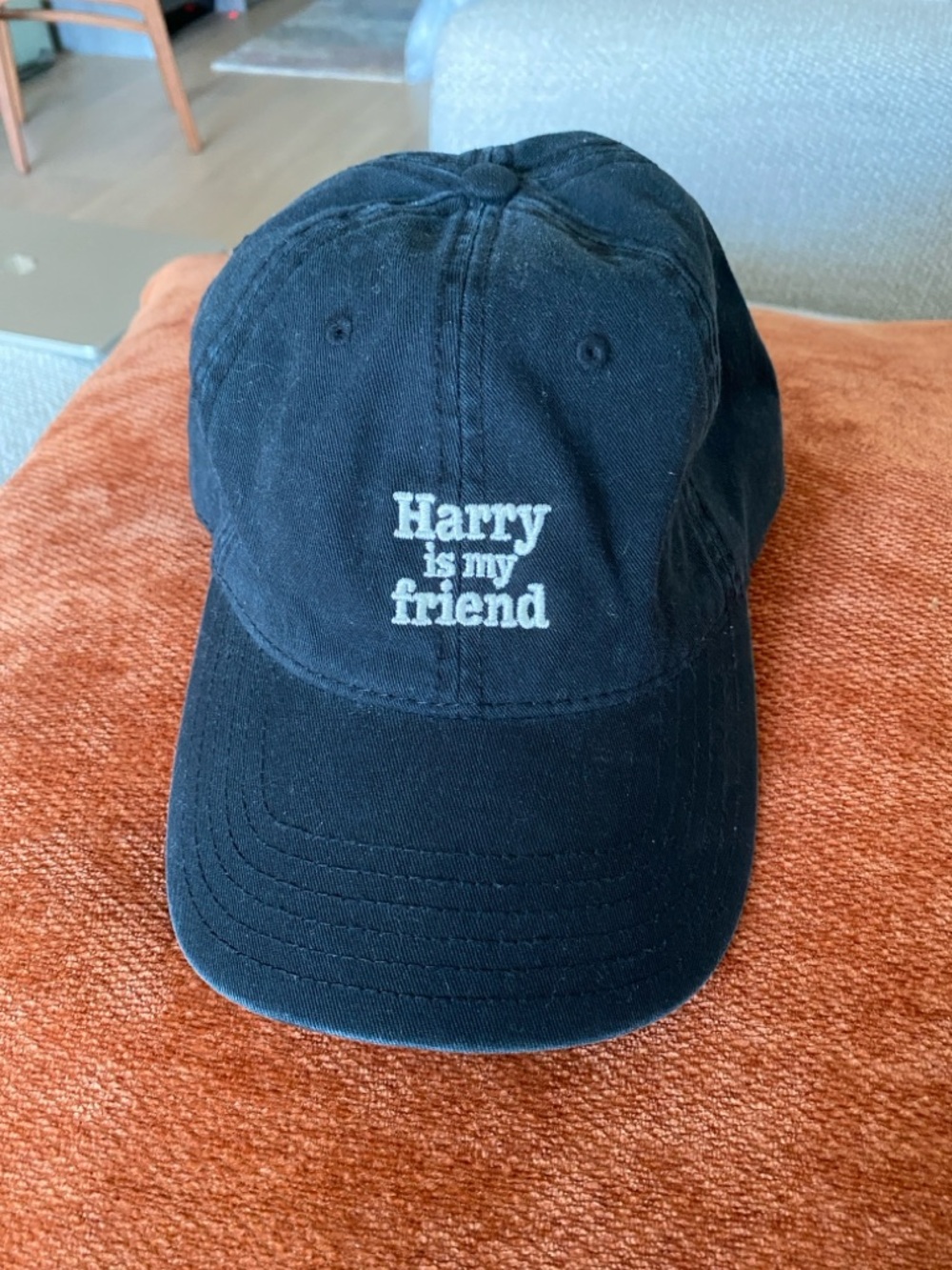 Harry is My Friend, Harry Styles ball cap in black.